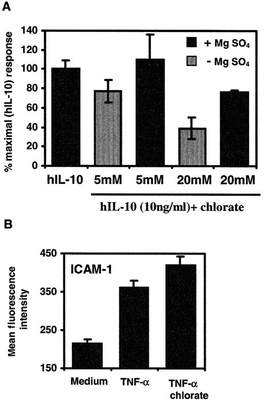 Fig. 7. Effect of sodium chlorate on the ability of hIL-10 or TNF-α to up-regulate the expression of CD16 or ICAM-1 on monocytes/macrophages. / PBMC were grown in the presence or absence of sodium chlorate for 24 hours. (A) hIL-10 (10 ng/mL) or (B) TNF-α (20 ng/mL) was added in chlorate-containing medium for an additional 48 hours. In some experiments, MgSO4 (15 mmol/L) was added together with NaClO3 and hIL-10. After the incubation period, the cells were stained with (A) CD16 or (B) ICAM-1 mouse antihuman monoclonal antibodies. The monocyte/macrophage population within PBMC was gated out on the basis of forward- and side-scatter. CD16 or ICAM-1 expression on monocytes from quadruplicate cultures was determined by FACS and is presented as percentage control or mean fluorescence intensity ± 4 SD. Data are representative of 2 separate experiments.