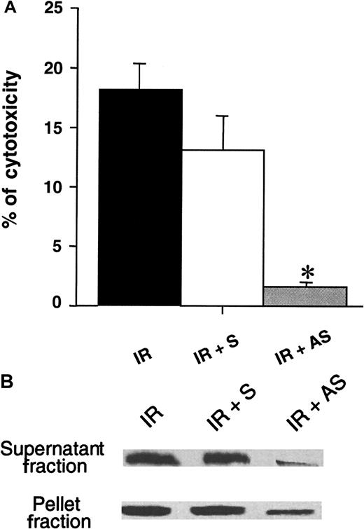 Fig. 6. Effect of antisense oligonucleotides directed toward GrB. / (A) KG1a cells were incubated with antisense GrB or sense (control) oligonucleotides for 14 hours, irradiated, cultured for 72 hours, and then co-incubated with K562 cells as targets. Cytotoxicity was measured by using a 4-hour nonradioactive LDH-release assay at 40:1 E:T ratio. Results are the mean ± standard deviation of three independent experiments performed in triplicate. *P = .02. (B) Western blot analysis of antisense or sense oligonucleotides on GrB expression after irradiation and cellular fractionation. IR: irradiation, S: sense, AS: antisense.