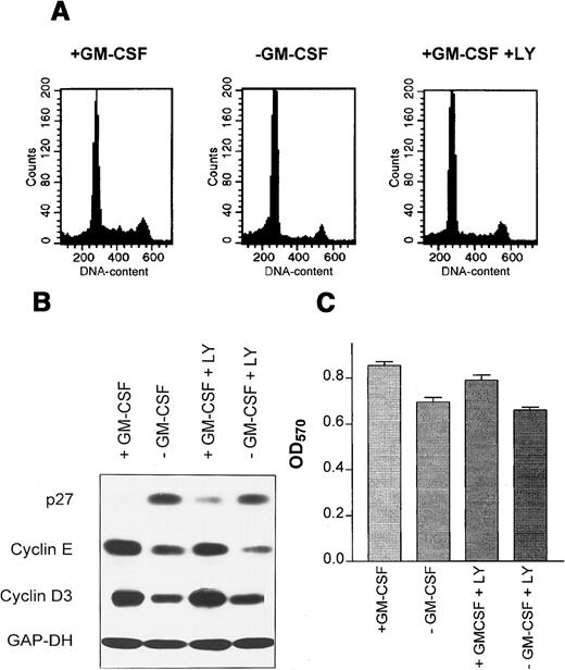 Fig. 2. PI3K activity down-regulates p27 in M07 cells. / M07 cells were cultured for 18 hours in the presence or absence of GM-CSF with or without 5 μmol/L LY294002. (A) A sample of cells was assayed for cellular DNA content by propidium iodide staining and FACS. (B) Levels of p27, cyclin D3, and cyclin E were analyzed by immunoblotting of 50 μg total cell extracts. Equal protein loading was controled by reprobing with anti-GAP-DH antibody (1:10 000). (C) Cells were plated into 96-well plates at 1 × 105 per well. The viable cells in each well were assayed to their ability to transform 3-(4,5-dimethylthiazol-2-yl)-2,5-diphenyltetrazolium bromide into a purple formazan. The absorbance of the samples was measured in an ELISA reader at 570 nm. Data represent the mean ± SE of 5 examinations.