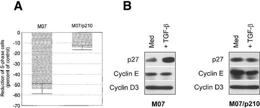Fig. 4. TGF-β inhibits proliferation in M07 cells through an up-regulation of the CDK inhibitor p27. / (A) Reduction of the proportion of S phase cells in comparison to control after 48 hours of cultivation in either the presence of 10 ng/mL TGF-β and GM-CSF (100 U/mL) for M07 cells or with 10 ng/mL TGF-β for M07/p210 cells. Values reflect the mean ± SE of at least 3 independent determinations. (B) Levels of p27, cyclin E, and cyclin D3 in control (GM-CSF, 100 U/mL) and TGF-β (5 ng/mL)-treated M07 and M07/p210 cells after 18 hours. Protein expression was determined by means of Western blot analysis.