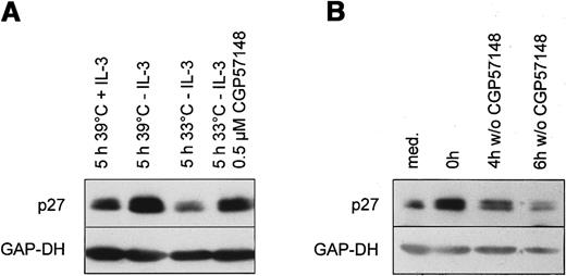 Fig. 5. Bcr-Abl kinase activity directly down-regulates the CDK inhibitor p27 in murine Ba/F3 cells. / (A) Ba/F3 cells expressing the temperature sensitive Bcr-Abl were cultivated for 14 hours at the nonpermissive temperature (39°C) in the absence of IL-3 (t = 0). Then cells were either restimulated for 5 hours with fresh medium with or without 1 ng/mL IL-3 at 39°C or shifted to the permissive temperature (33°C) in the absence of IL-3 with or without 1 μmol/L CGP 57148B. Lysates were prepared and subjected to Western blot analysis using anti-p27, and anti-GAP-DH antibody (1:10 000). (B) Ba/F3 cells expressing p185 Bcr-Abl were cultivated at 37 °C in the presence (t = 0) or absence (med) of 1 μmol/L CGP 57148B for 14 hours. Subsequently, cells were washed with PBS and further cultivated without CGP 57148B for the indicated periods. p27 and GAP-DH protein expression were determined by means of Western blot analysis.