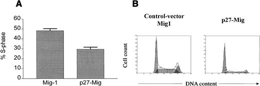 Fig. 6. Cell-cycle analysis of Ba/F3-p185 cells transfected with Mig1-control or p27-Mig vector. / The subpopulation of highly EGFP-expressing cells was analyzed for cell cycle distribution. (A) Proportion of EGFP+ cells in S-phase transfected with p27-Mig in comparison to Mig-controls. Values reflect the mean ± SE of at least 4 independent analyses. (B) Representative result of cell cycle distribution in EGFP-expressing cells. Transfection with p27-Mig leads to a marked reduction of cells in S/G2M-phase (G1:64%, S:28%, G2/M:8%), whereas cells transfected with the Mig-control vector show a high cycling activity (G1:38%, S:46%, G2/M:16%).