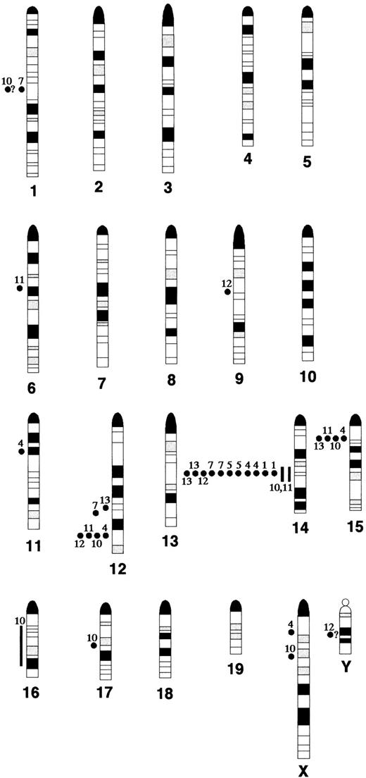 Fig. 4. Karyogram of breakpoints and band duplications in. / Atm−/− lymphomas determined by SKY and FISH analysis. Breakpoints and regions of band duplication (from the chromosome aberrations listed in Table 1) were estimated by aligning the DAPI-banded, RGB display, and classified images of each chromosome. All aberrations for which the breakpoints and regions of band duplication could be determined are shown; the question marks indicate uncertainty in the placement of the breakpoint. Filled circles indicate breakpoints and lines indicate band duplication regions. Each tumor is identified by its number in Table 1, for example AT-1 = 1.
