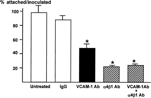 Fig. 2. Attachment of 5TGM1 myeloma cells to monolayer of mouse stromal cell line ST2 and effect of neutralizing antibodies to VCAM-1 and α4β1-integrin. / . ST2 cells were cultured to confluency in 48-well culture plates.3H-Thymidine-labeled 5TGM1 cells (20 000 cells, 8654 ± 244 cpm) were seeded onto ST2 monolayer and incubated at 37°C for 1 hour in the absence or presence of 10 μg/mL of anti–VCAM-1 antibody (VCAM-1 Ab), anti-integrin α4β1-antibody (α4β1 Ab), both, or control IgG. After the incubation, nonadherent cells were removed by gentle washing with PBS, twice. Attached cells were lysed with 0.1 mol/L NaOH and radioactivity was determined by a liquid scintillation counter. Percentage of attached cells was calculated as radioactivity of adherent cells (cpm)/radioactivity of inoculated cells (cpm) × 100. Twenty μg/mL of these antibodies produced identical results (data not shown). Data are expressed as mean ± SE (n = 4). *Significantly different from IgG control (P < .01).