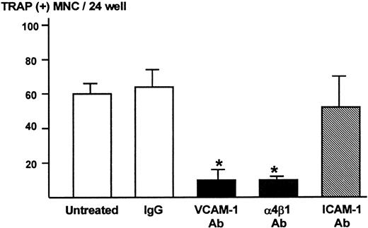 Fig. 4. Effects of neutralizing antibody to VCAM-1 and α4β1-integrin on TRAP-positive multinucleated osteoclast formation in the co-cultures of 5TGM1 myeloma cells and primary mouse bone marrow cells. / A mixture of 5TGM1 cells (1 × 103) and primary mouse marrow cells (1 × 106) in suspension was inoculated in 48-well plates and cultured with or without 10 μg/mL of anti–VCAM-1 antibody (VCAM-1 Ab), anti–α4β1-integrin antibody (α4β1 Ab), anti–ICAM-1 antibody (ICAM-1 Ab), or control IgG. After 6 days of culture, cultures were fixed and the number of TRAP-positive multinucleated osteoclasts was determined. Data are expressed as mean ± SE (n = 4). *Significantly different from IgG control (P < .01).