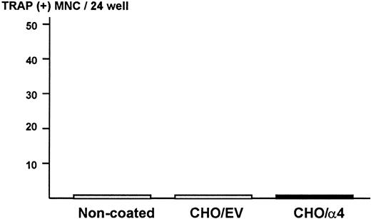 Fig. 7. Production of osteoclastogenic activity in ST2 mouse bone marrow cells in contact with α4-integrin. / Confluent CHO cells expressing α4-integrin or empty vector were fixed with 2.5% paraformaldehyde and ST2 cells (2 × 105/24-well) were cultured on the monolayer of the fixed CHO cells for 24 hours. Conditioned media of these cultures were assayed for osteoclastogenic activity in mouse bone marrow cultures. EV indicates empty vector.