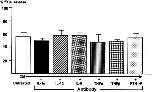 Fig. 8. Effect of neutralizing antibodies to known osteoclast-activating cytokines on bone-resorbing activity of conditioned medium harvested from co-cultures of 5TGM1 myeloma cells and ST2 mouse bone marrow stromal cells. / Conditioned medium (CM) was treated with 10 μg/mL neutralizing antibodies to IL-1α and IL-1β, IL-6, TNFα, TNFβ, and PTH-rP (20 μg/mL)22 for 1 hour at room temperature. Subsequently, antibody-treated conditioned medium was assessed for its bone-resorbing activity in the fetal rat long bone assay as described in Figure 5.45Ca release in control culture medium was 17 ± 1% (not shown). Data are expressed as mean ± SE (n = 4).