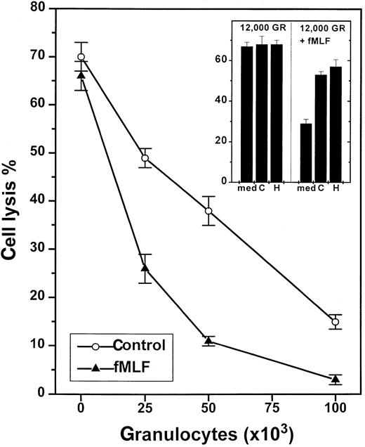 Fig. 1. NADPH-oxidase-dependent inhibition of NK-cell cytotoxicity by nonmalignant GR. / One hundred thousand NK cell-enriched lymphocytes were admixed with GR and assayed for cytotoxicity against K562 cells (104cells/well) in a 16-hour assay. The cell cultures were treated with culture medium (control, ○) or fMLF (0.1 μmol/L, ▴), added at 15 minutes after the onset of incubation. Data are cell lysis percent ± SEM of sextuplicate determinations. The inset shows a corresponding experiment in which cells were treated with culture medium (med), histamine (H; 10 μmol/L), or catalase (C; 100 U/mL).