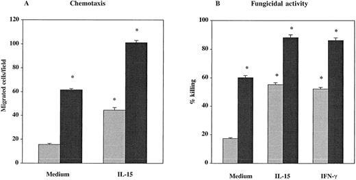 Fig. 1. Effect of IL-15 on chemotaxis and fungicidal activity of PMNs from healthy controls (black columns) and patients (gray columns) with untreated advanced HIV infection. / (A) PMNs were incubated with IL-15 (10 ng/mL) or medium alone for 6 hours and then tested for their ability to migrate in a blind-well chamber toward fMLPB as chemoattractant. (B) PMNs were incubated with medium alone, IL-15 (10 ng/mL) or IFN-γ (500 U/mL) for 6 hours and then assayed for killing activity against Candida by the methylene blue staining technique. Results are expressed as mean ± SEM. Asterisks indicate a significant increase in PMN chemotaxis and fungicidal activity (P < .05).