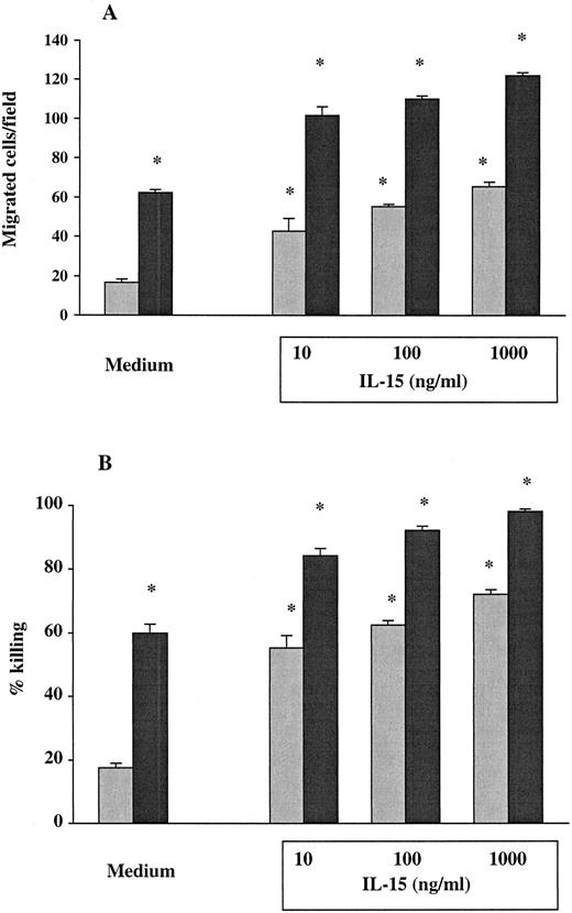 Fig. 2. IL-15 dose response. / Dose-response of IL-15 on chemotaxis (A) and fungicidal activity (B) of PMNs from untreated HIV+ patients (gray columns) and healthy controls (black columns). PMNs were incubated with medium alone or with increased concentrations of IL-15 (10 to 1000 ng/mL) for 6 hours. Results represent the mean ± SEM of values from 3 experiments. Asterisks indicate a significant increase in PMN chemotaxis and fungicidal activity (P < .05).