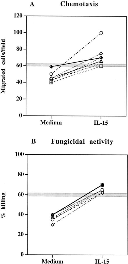 Fig. 3. Effect of IL-15 on chemotaxis and fungicidal activity of PMNs from 8 patients with continuous viral suppression after 52 to 130 weeks of HAART. / (A) PMNs were incubated with IL-15 (10 ng/mL) or medium alone for 6 hours and then tested for their ability to migrate in a blind-well chamber toward fMLPB as chemoattractant. (B) PMNs were incubated with medium alone or IL-15 (10 ng/mL) for 6 hours and then assayed for killing activity against Candida by the methylene blue staining technique. Each pair of symbols represents different patients. The gray horizontal zone represents the mean ± SEM of healthy controls.