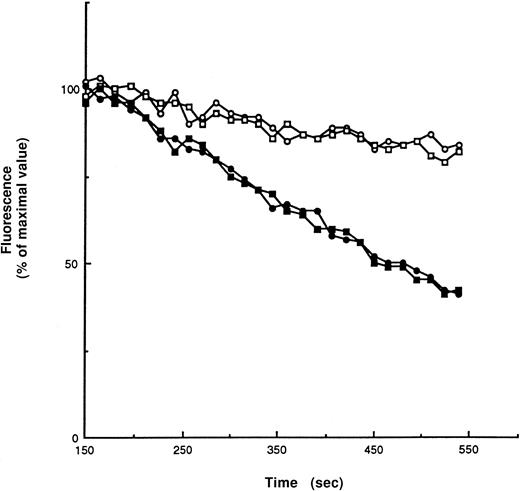 Fig. 1. Fluorescence intensity of 50 μmol/L cis-parinaric acid in a 2 mL suspension of red cells, 10% hematocrit, in PBS with 10 mmol/L glucose and 50 μg/mL gentamycin. / Readings were taken every 15 seconds. After 150 seconds of equilibration, either 50 μL cumene hydroperoxide in ethanol was added (100 μmol/L final concentration) (filled symbols), or 50 μL ethanol (open symbols) was added to controls. There was no difference between the rate of fluorescence loss in wild-type red cells (circles) and GSHPx-1–deficient red cells (squares).Two runs are shown.