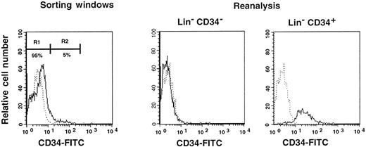 Fig. 1. Sorting regions used for preparation of CD34− and CD34+ cell populations. / First, Lin+ cells were removed from mononuclear PB cells by using immunomagnetic beads. The Lin− cells were then sorted on the basis of CD34 expression using R1 and R2 windows. Results of reanalysis of the sorted cells are presented on the right. Dotted and solid lines represent cells stained with IgG2a-FITC and CD34-FITC, respectively.
