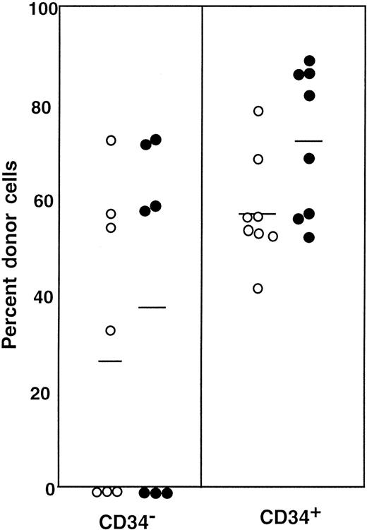 Fig. 2. Percentage of donor nucleated cells in the blood of individual mice. / The mice had been transplanted with 4 × 105 compromised marrow cells of Ly-5.2 mice and either 2 × 105Lin− CD34− cells or 1 × 104Lin− CD34+ test (Ly-5.1) cells. The numbers of the transplanted CD34− and CD34+ cells reflected the ratio of the cells in R1 and R2 windows presented in Figure 1. ○, 2 months posttransplantation; ●, 4 months posttransplantation.