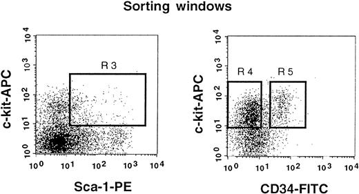 Fig. 3. Sorting regions used for preparation of c-kit+ Sca-1+ CD34− and c-kit+ Sca-1+ CD34+ cell populations. / First, Lin+ cells were removed from mononuclear PB cells using immunomagnetic beads. The Lin− cells were then enriched for c-kit+ Sca-1+ cells by using R3 window and again sorted on the basis of CD34 expression by using R4 and R5 windows.