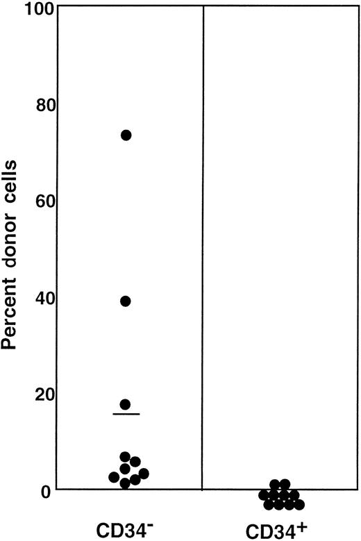 Fig. 6. Percentage of donor (Ly-5.1) cells in the blood of individual secondary recipients transplanted with either Ly-5.1 CD34− or Ly-5.1 CD34+ bone marrow cells of primary recipients described in Figure 5. / Initially, Ly-5.1 Lin− CD34+ G-CSF–mobilized PB cells were transplanted to Ly-5.2 primary recipients. Eight months later 4 × 105 Ly-5.2 compromised marrow cells and either 1 × 104 Ly-5.1 CD34− or 1 × 104 Ly-5.1 CD34+ bone marrow cells of the primary recipients were transplanted to individual secondary Ly-5.2 recipients. Analysis was performed at 5 months posttransplantation.