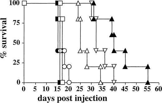 Fig. 2. IL-2 enhances the antitumor activity of Fv-ζ+ T cells in vivo. / Five C57BL/6 mice per group were injected ip with 104huCD3-EL4 lymphoma cells. The recipient mice received either tumor cells alone (■) or tumor and IL-2 (▪), 107Fv-ζ–negative T cells plus IL-2 (○), 107Fv-ζ–negative T cells repeatedly (●),107Fv-ζ+ T cells (▵), 107 Fv-ζ+T cells plus IL-2 (▴), or 107 Fv-ζ+ T cells repeatedly (▿). When exogenous IL-2 was given, each animal was injected with 80 000 U/d during the first week of the experiment. When repeated injections were performed, 107 T cells were injected a second time at day 6.