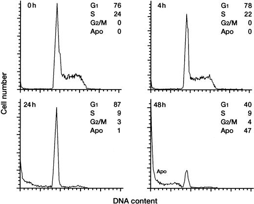 Fig. 4. Cell-cycle analysis of U266 cells cultured with BMP-2. / U266 cells were cultured in the absence or presence of 50 ng/mL of BMP-2 for 0, 4, 24, and 48 hours and then stained with propidium iodide. DNA content was analyzed by means of flow cytometry. G1, S, and G2/M indicate cell phases. Apo indicates apoptotic cells.