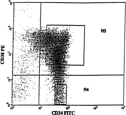 Fig. 1. CD34 and CD38 expression profile on CD34-enriched cells from a typical patient with 5q− syndrome. / CD34-enriched cells from patient no. 4 were stained with CD34-FITC and CD38-PE antibody or isotype control antibody. In this patient, CD34+CD38+ and CD34+CD38− cells represented 91.4% and 8.6% of CD34+ cells, respectively. Also shown are the sorting gates for CD34+CD38+ (R3) and CD34+CD38− (R4) cells.