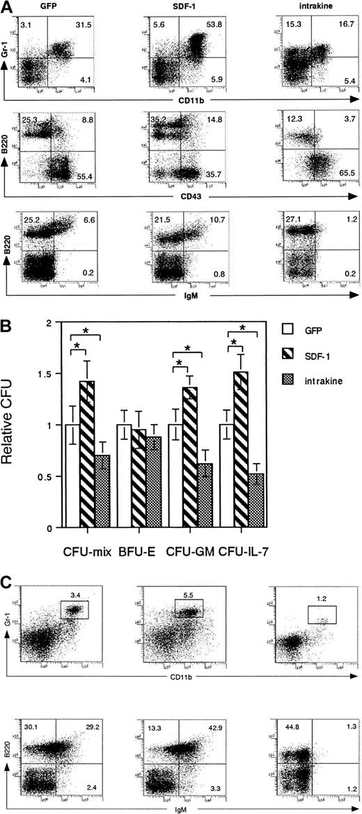 Fig. 4. B lymphopoiesis and myelopoiesis in reconstituted mice. / (A) Flow cytometric analysis of B-lymphoid and -myeloid cells in the bone marrow of reconstituted mice more than 70 days after transplantation. Dead cells were excluded by propidium iodide staining. Data are representative of 7 independent experiments. (B) Bone marrow cells from reconstituted mice were subjected to in vitro colony assay. Relative CFU colony numbers were calculated as the ratio of CFU colony numbers of bone marrow cells from GFP-transduced mice. Mean ± SE for 4 independent experiments are shown. Statistical analysis was performed by Student t test. *P < .05. (C) Flow cytometric analysis of B-lymphoid and -myeloid cells in peripheral blood. Dead cells were excluded by propidium iodide staining.