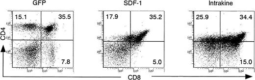 Fig. 5. T lymphopoiesis in reconstituted mice. / Flow cytometric analysis on the thymocytes from reconstituted mice 70 days after transplantation. Dead cells were excluded by propidium iodide staining. These results represent 5 independent experiments.