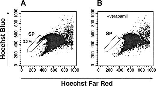 Fig. 1. Hoechst dye efflux by human UCB. / The SP cells, as defined by verapamil-sensitive cells, are indicated in the enclosed box. The data are representative of 28 experiments. (A) The Hoechst 33342 staining and emission patterns of human UCB in the absence of verapamil. (B) The Hoechst 33342 staining and emission patterns of human UCB in the presence of verapamil.