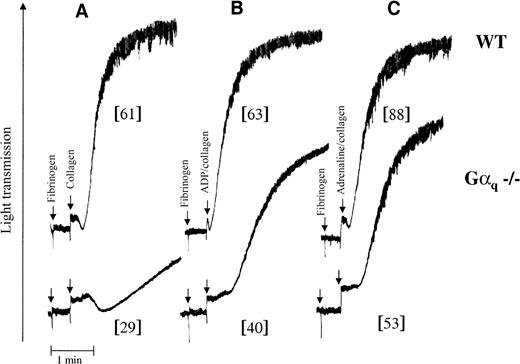 Fig. 1. ADP and adrenaline restored collagen-induced platelet aggregation. / (A) Responses of wild-type (WT) (upper panel) and Gαq-deficient platelets (lower panel) to 5 μg/mL collagen. Tritiated serotonin secretion is indicated in brackets. (B) ADP (10 μmol/L) restored aggregation in Gαq-deficient platelets and slightly enhanced secretion. (C) Adrenaline (10 μmol/L) similarly restored the collagen-induced aggregation of Gαq-deficient mouse platelets.