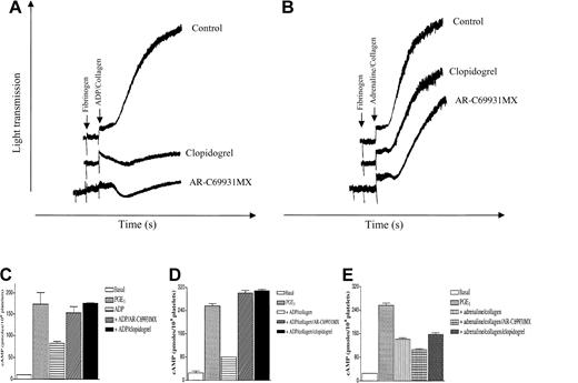 Fig. 2. ADP acts through the P2cyc receptor. / (A) The selective P2cyc receptor antagonist AR-C69931MX (10 μmol/L) and clopidogrel (100 mg/kg) inhibited the potentiation by ADP of collagen-induced aggregation of Gαq-deficient mouse platelets. (B) In contrast, the effect of adrenaline was not inhibited by the P2cyc-selective compounds. (C) By itself, ADP (10 μmol/L) still inhibited cAMP production after PGE1 (10 μmol/L)–induced stimulation in Gαq-deficient mouse platelets, an effect that was blocked by AR-C69931MX (10 μmol/L) and by clopidogrel (100 mg/kg). (D) Blockade of the ADP-induced inhibition of adenylyl cyclase even in the presence of collagen by AR-C69931MX and by clopidogrel. (E) No inhibition of adrenaline-induced inhibition of adenylyl cyclase by AR-C69931MX or by clopidogrel in the presence of collagen.
