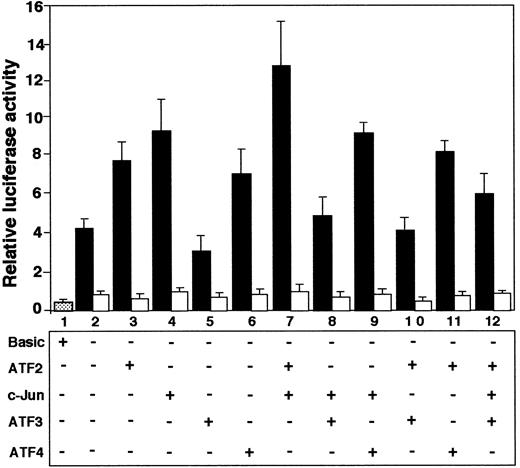 Fig. 8. Coexpression of ATF2 and c-Jun activated ATF3 gene promoter, but ATF3 repressed it. / Cultured HUVECs were transfected with 2 μg of pLuc-1850 (solid columns) or pLuc-1850m (open columns) reporter gene along with 1 μg each of expression plasmid encoding the indicated factor. After incubation for 20 hours, the promoter activity was measured as described in “Materials and methods.” Relative luciferase activity is expressed in arbitrary units, and the data represent the mean of 3 independent experiments with an SE bar.