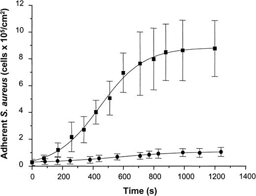 Fig. 7. Adhesion of S. aureus 8325-4 and of DU 5875 to vWF adsorbed PMMA under defined flow conditions. / PMMA slides were preincubated with vWF (50 μg/mL), mounted on a flow chamber, and perfused with S. aureus cells (5 × 107 CFU) (shear rate, 110/s). Adherent microorganisms visualized by light microscopy were determined over indicated time periods using automated image analysis. Shown are mean values of 10 fields ± SD. ▪, S. aureus 8325-4; ●, DU 5875.