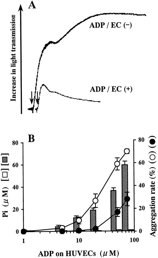 Fig. 1. Inhibition of platelet aggregation by ADP preincubated on HUVECs. / HUVEC-containing wells and blank wells were incubated with a phosphate-free buffer containing 1-75 μmol/L ADP at 37°C for 15 minutes. (A) When 50 μmol/L ADP was incubated on HUVECs, it lost most of its agonistic activity for platelets. The arrows indicate addition of the incubation buffer from HUVECs or blank wells. The results are representative of 3 experiments. (B) Pi was liberated from ADP preincubated on HUVECs in a dose-dependent manner relative to the concentration of ADP added (▩). Almost no Pi was liberated from ADP preincubated on blank wells (open columns). The ADP-containing buffer preincubated on HUVECs (●) lost its agonistic activity for platelets in comparison with the ADP-containing buffer preincubated on blank wells (○). The ADP-treated incubation buffer was added to PRP in a 10-fold dilution. The results are the mean ± SD of 3 separate experiments.