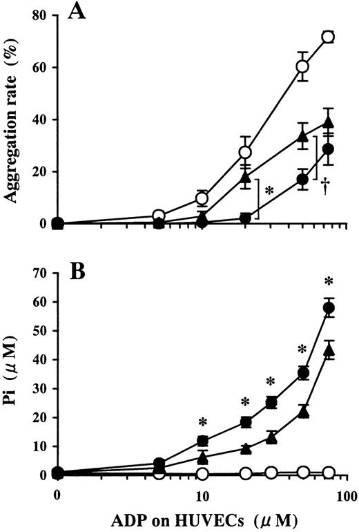 Fig. 5. Involvement of ecto-5′-NT in the inhibition of platelet aggregation induced by ADP preincubated on HUVECs. / HUVEC-containing wells and blank wells were pretreated with 100 μmol/L APCP, an inhibitor of ecto-5′-NT, then incubated with a phosphate-free buffer containing 1-75 μmol/L ADP at 37°C for 15 minutes. (A) Platelet aggregation induced by ADP buffer preincubated on HUVECs pretreated with APCP (▴) induced platelet aggregation more than that on APCP-untreated HUVECs (●). ○ denotes the data of ADP buffer preincubated on blank wells. The results are the mean ± SD of 3 separate experiments. The asterisk indicates the meanP < .01, and the dagger indicates the meanP < .02. (B) Pi was liberated on HUVECs in a dose-dependent manner relative to the concentration of ADP added (●). Pretreatment of HUVECs with APCP partially inhibited Pi liberation from ADP (▴) (P < .01, at 10-100 μmol/L ADP). ○ indicates data from the blank wells. The results are the mean ± SD of 3 separate experiments.