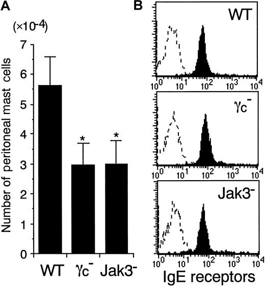 Fig. 1. The number of peritoneal mast cells is decreased in γc− and Jak3− mice. / (A) Peritoneal mast cells were recovered by lavage and counted in 8- to 12-week-old wild-type (WT), γc-deficient (γc−), and Jak3-deficient (Jak3−) mice. Peritoneal mast cells were identified morphologically on cytospin cell preparations stained with Wright-Giemsa solution. Data are means ± SD for 6 to 8 mice in each group. The mean values for γc− mice and Jak3− mice are significantly different from the mean value for WT mice, *P < .01. (B) Expression of IgE receptors on c-kit+ peritoneal cells. IgE receptors on peritoneal mast cells were quantified by first incubating the cells recovered by peritoneal lavage with mouse IgE, then labeling with anti-IgE FITC, and analyzing by FACS gating on c-kit+ cells. Shown are representative FACS profiles of IgE receptor staining and control staining (dashed lines) on c-kit+ peritoneal cells from WT, γc−, and Jak3− mice (n = 6-8 mice in each group).