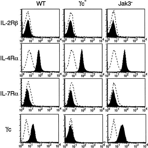Fig. 3. Expression of IL-4Rα and γc in BMMCs. / BMMCs from WT, γc−, and Jak3−mice were analyzed for the expression of IL-2Rβ, IL-4Rα, IL-7Rα, and γc on c-kit+ cells. Shown are representative FACS profiles from 4 independent experiments. Dashed lines are FACS profiles for the isotype-matched controls.