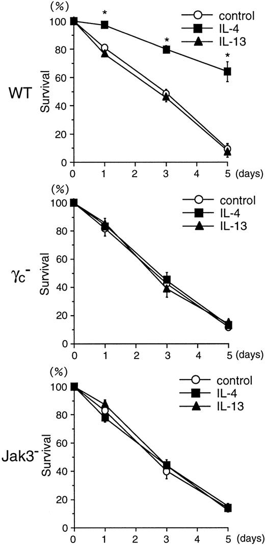 Fig. 6. IL-4 induces the survival of BMMCs through γc- and Jak3-dependent signaling. / BMMCs from WT, γc−, and Jak3−mice were cultured in the absence of IL-3 for 5 days, and cell viability was determined by FACS using PI (5 μg/mL) at days 0, 1, 3, and 5. Where indicated, recombinant murine IL-4 or recombinant murine IL-13 was added at 20 ng/mL. Data are means ± SD for 5 mice in each group. The mean value of IL-4–stimulated BMMCs is significantly different from the mean value of control BMMCs in WT mice. *P < .001.