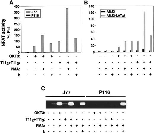 Fig. 12. CD2-mediated NFAT transcriptional activity and IL-2 transcription are dependent on ZAP70/Syk and LAT expression. / (A) Wild-type Jurkat cells (J77) and the ZAP70/Syk-deficient clone P116 were transiently transfected with 10 μg of a reporter plasmid p3xNFAT-luc, carrying the luciferase gene driven by 3 tandem repeats of the distal NFAT sequences derived from the IL-2 promoter, and 1 μg pRL-TK vector, which provides constitutive expression ofRenilla luciferase, as described in “Materials and methods.” Twenty-four hours after transfection, 106cells/test were left unstimulated or stimulated with plate-bound OKT3, T112+T113, each either alone or in combination with 10 ng/mL PMA or 1.5 μmol/L ionomycin (I), or PMA plus ionomycin for 6 hours. Cells were then washed and lysed, and the soluble extract was assayed for luciferase activity. Results are reported as activity of firefly luciferase normalized to that of Renillaluciferase (to correct for transfection efficiency) in the lysate, and expressed as percentage of response obtained with PMA plus ionomycin (P+I). Results are representative of 3 independent experiments. (B) A comparable experiment to that in panel A was performed using the LAT-deficient cells ANJ3 and the ANJ3 cells reconstituted with wild-type LAT (ANJ3-LATwt). (C) CD2-induced IL-2 transcription is dependent on ZAP70/Syk expression. Wild-type Jurkat and the ZAP70/Syk-deficient cells, P116 (1 × 106/test) were either left unstimulated or stimulated with plate-bound OKT3, 1 μL of T112 plus 1 μL of T113, either alone or in combination with PMA, or PMA plus ionomycin for 4 hours. Total RNA was then extracted and subjected to RT-PCR for IL-2 as described in “Materials and methods.” RT-PCR for glyceraldehyde-3-phosphate dehydrogenase was performed as control (not shown).