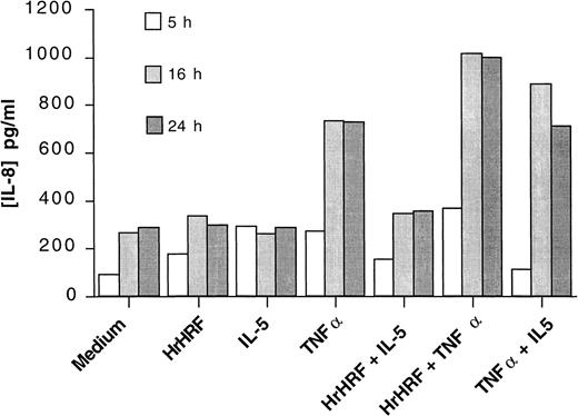 Fig. 3. Kinetics of IL-8 production. / Eosinophils were incubated with GM-CSF for 30 minutes and then stimulated for 5 hours (open bars), 16 hours (gray bars), or 24 hours (closed bars) with the cytokines indicated on the x-axis. An experiment representative of 3 is shown.