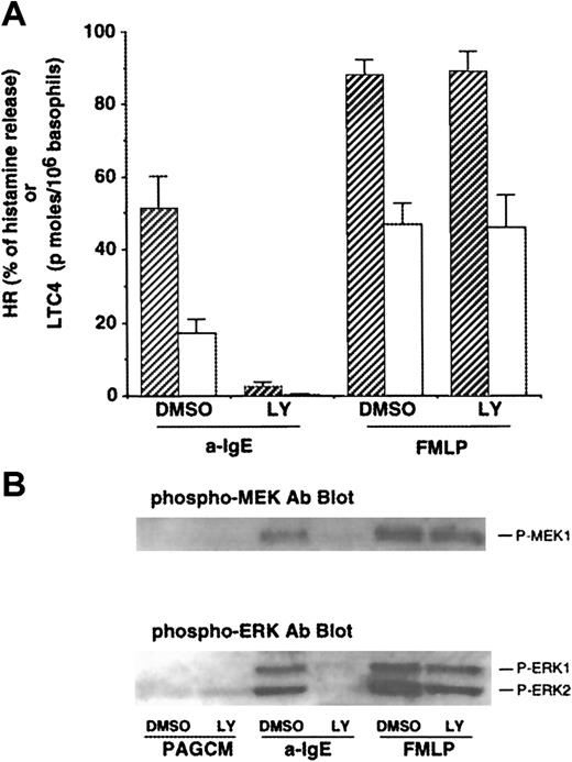 Fig. 1. Effect of LY294002 on release of histamine and LTC4 and phosphorylation of MEK1 and ERKs after stimulation with anti-IgE Ab or FMLP. / (A) Effect of LY294002 on release of histamine and LTC4. Basophils were preincubated with DMSO (1:10 000 dilution) or LY294002 (10 μmol/L) for 10 minutes and were stimulated with or without FMLP (1 μmol/L) for 5 minutes or anti-IgE Ab (0.5 μg/mL) for 10 minutes. Reactions were stopped with the addition of ice-cold PAG, and the cells were microfuged. Supernatants were collected for histamine (closed column) and LTC4 (open column) measurements (n = 3). (B) Effect of LY294002 on phosphorylation of MEK1 and ERKs. Cell pellets were lysed and subjected to Western blot analysis as described in “Materials and methods.” The anti-MEK1 blot indicated essentially equal protein loading (data not shown). The Western blot shown is representative of 3 separate experiments.