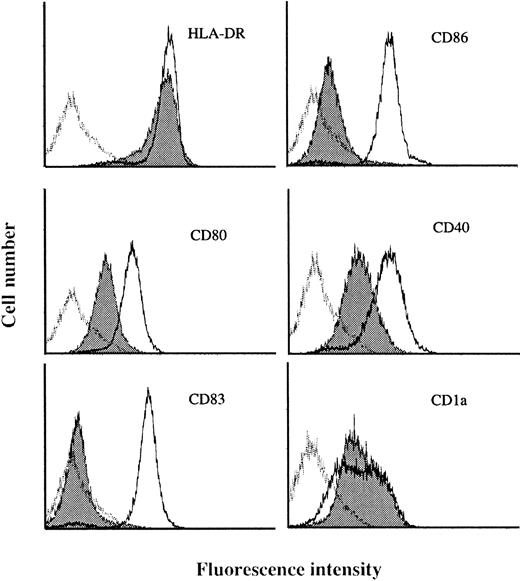 Fig. 1. Surface phenotype of human blood monocyte–derived DCs stimulated by LPS (MADCs). / Human monocytes were cultured in RPMI 1640 medium plus 7.5% FCS in the presence of GM-CSF (500 U/mL) and IL-4 (100 U/mL) for 5 days and then stimulated with LPS for 2 days. After culture, the cells were washed and then stained with various antibodies as described in “Materials and methods.” The data are shown as histograms depicting the number of cells exhibiting various fluorescence intensities. The dotted lines represent MADCs stained with specific antibodies, the solid histograms represent IMDCs stained with specific antibodies, and the solid lines represent isotype-matched control. Results are representative of 3 independent experiments.