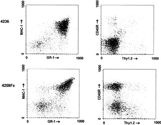 Fig. 4. FACS analysis of the bone marrow of a. / BCR/ABL p190 del C transgenic. The identifying numbers of the mice are indicated on the left. Mouse no. 4236 (age at death, 27 months) was a nontransgenic animal. no. 4208 Fxis a descendent of founder no. 4208, which was moribund at the age of 5 months.