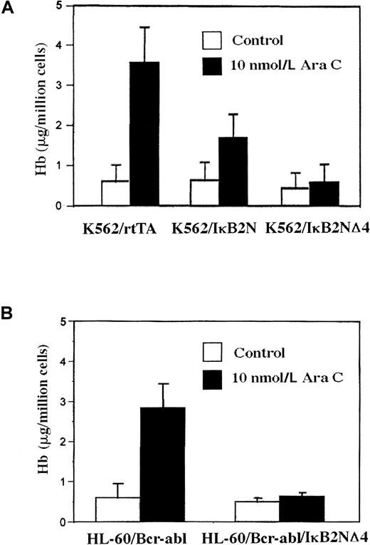 Fig. 2. Repression of NFκB. / Transdominant (TD) repressors of IκBα inhibit LODAC-induced Hb levels in K562 (A) and HL-60/Bcr-Abl cells (B).