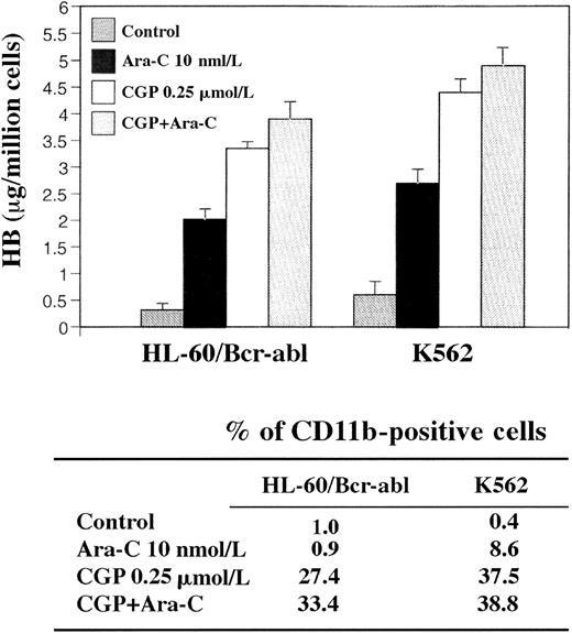 Fig. 6. Increases in Hb after treatment with CGP57148B. / CGP57148B (CGP) increases intracellular Hb levels and CD11b expression in HL-60/Bcr-Abl and K562 cells. Following treatment with 0.25 μmol/L CGP, 10 nmol/L Ara-C or CGP plus Ara-C for 7 days, intracellular Hb levels and CD11b expression were determined in HL-60/Bcr-Abl and K562 cells (see text). Values represent the means of 3 separate experiments.