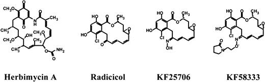 Fig. 1. Chemical structure of HA, radicicol, KF25706, and KF58333.