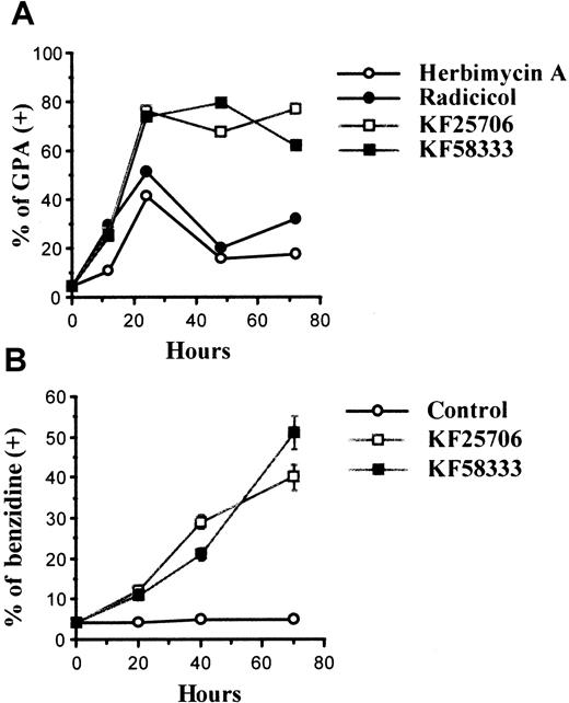 Fig. 3. Time course of erythroid differentiation by HA, radicicol, KF25706, and KF58333. / K562 cells were cultured with 0.3 μmol/L of HA, radicicol, KF25706, and 0.05 μmol/L of KF58333 for the indicated times and analyzed for differentiation as described in “Materials and methods.” Percent of GPA-positive cells (A) and percent of benzidine-positive cells (B) are indicated.