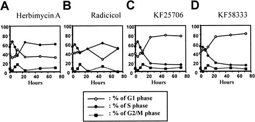 Fig. 4. Effect of treatment on the cell cycle in K562 cells. / The time course of cell cycle effect after treatment with HA (A), radicicol (B), KF25706 (C), and KF58333 (D) in K562 cells. K562 cells were cultured with 0.3 μmol/L of HA, radicicol, KF25706, and 0.05 μmol/L of KF58333 for indicated times and analyzed for cell cycle by FACScan as described in “Materials and methods.” Percents of G1 phase (○), S phase (●), and G2/M phase (▪) are plotted.