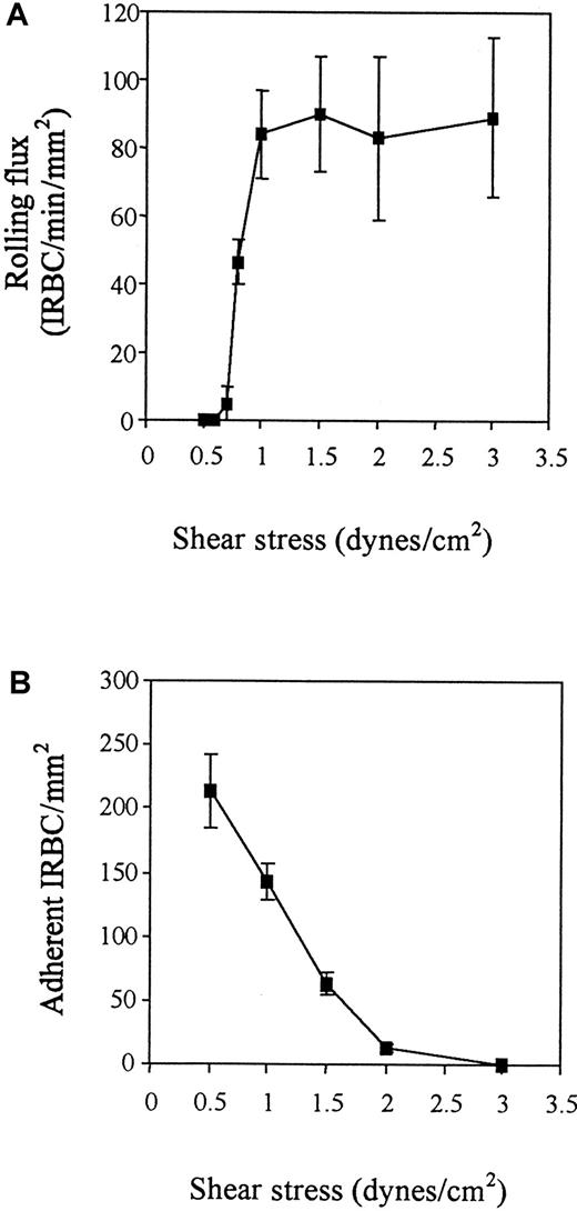 Fig. 1. Shear dependence of IRBC rolling and adhesion on resting HDMECs. / IRBCs were infused over HDMEC monolayers at different flow rates to generate the desired wall shear stress in the flow chamber. Results are the mean ± SEM of 3 parasite isolates studied. (A) Rolling. (B) Adhesion.