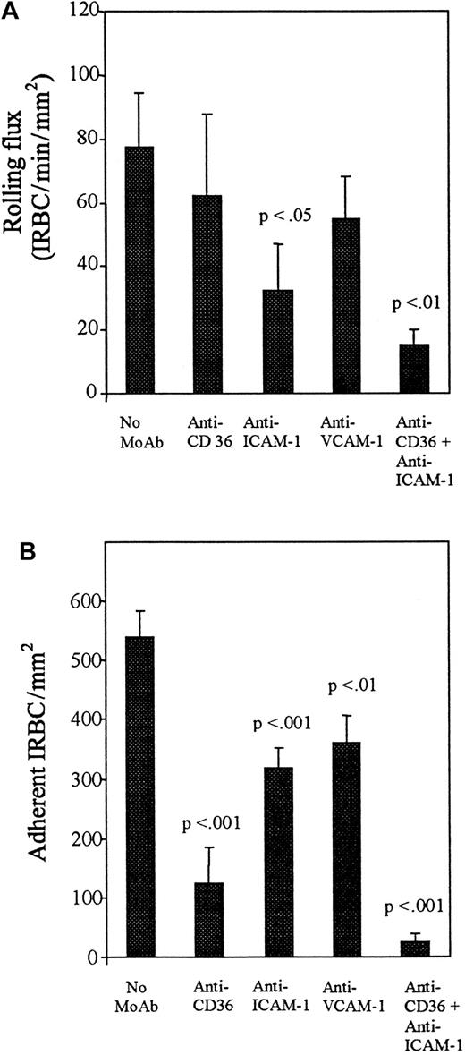 Fig. 5. Effect of blocking antibodies after 24 hours of TNF-α stimulation. / HDMECs were stimulated by TNF-α at 5 ng/mL for 24 hours. Experimental details are as for Figure 4 with the additional use of an anti–VCAM-1 MoAb (4B9). Results are mean ± SEM of 5 parasite isolates studied. (A) Effect of blocking antibodies on the rolling of IRBCs on stimulated HDMECs. (B) Effect of blocking antibodies on the adhesion of IRBCs on stimulated HDMECs.