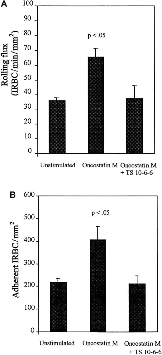 Fig. 7. Rolling and adhesion of IRBCs on resting HDMECs and HDMECs stimulated with 10 ng/mL of OSM for 48 hours. / Results are the mean ± SEM of 5 parasite isolates studied. (A) Rolling. (B) Adhesion.