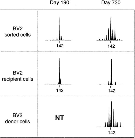 Fig. 2. Diversification of the T-cell repertoire occurs only in T cells of donor origin. / Upper panel: spectratypes of 2.103 T cells sorted on basis of BV2 expression. Recipient or donor spectratypes (middle and lower panel) are from independent T-cell clones pooled on the basis of their recipient/donor origin as determined by minisatellite analysis. The tag marks the position of a PCR-product of 142 base pairs. NT indicates not tested (only clones of recipient origin were obtained).