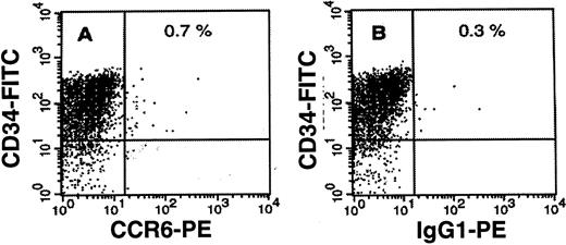 Fig. 1. CCR6 expression on CD34+ BM-derived hematopoietic stem cells. / Enriched (> 90% purity) CD34+ BM-derived hematopoietic stem cells were obtained as described in “Materials and methods.” Cells expressing CCR6 and/or CD34 were identified by 2-parameter immunofluorescence analysis using PE-labeled anti-CCR6 (A) or control IgG1 (B) MoAbs and FITC-labeled CD34 MoAb. Percentages of double-positive cells are indicated. One representative donor of the 5 tested is shown.